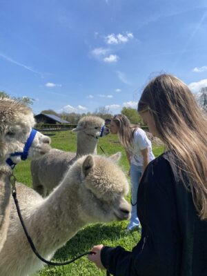 Cadeaubon Meet en Greet