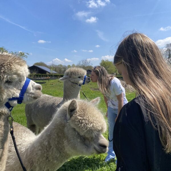 Cadeaubon Meet en Greet