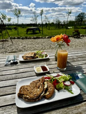Cadeaubon Picknick in de wei