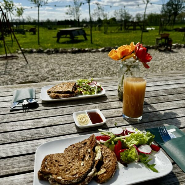 Cadeaubon Picknick in de wei